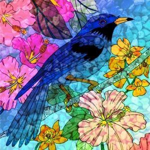 Meet your Posher, Judith